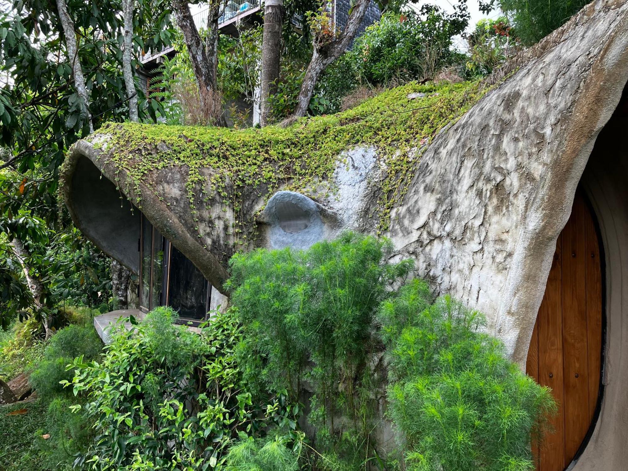 The Cloud Lodge *